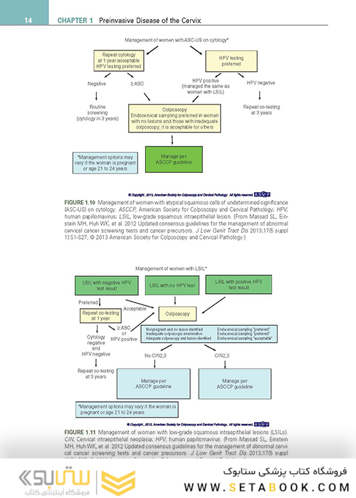 Clinical Gynecologic Oncology
