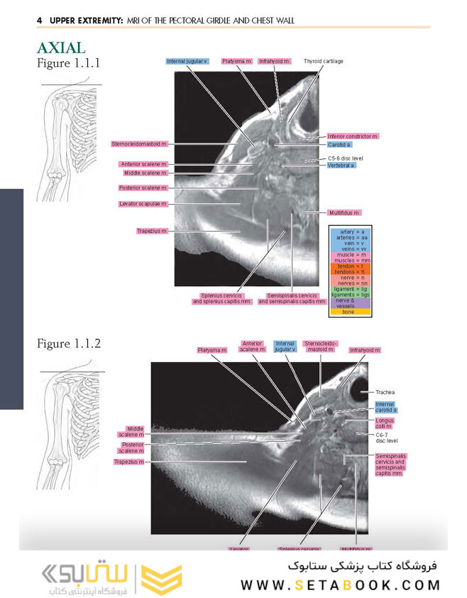 Sectional Anatomy by MRI and CT