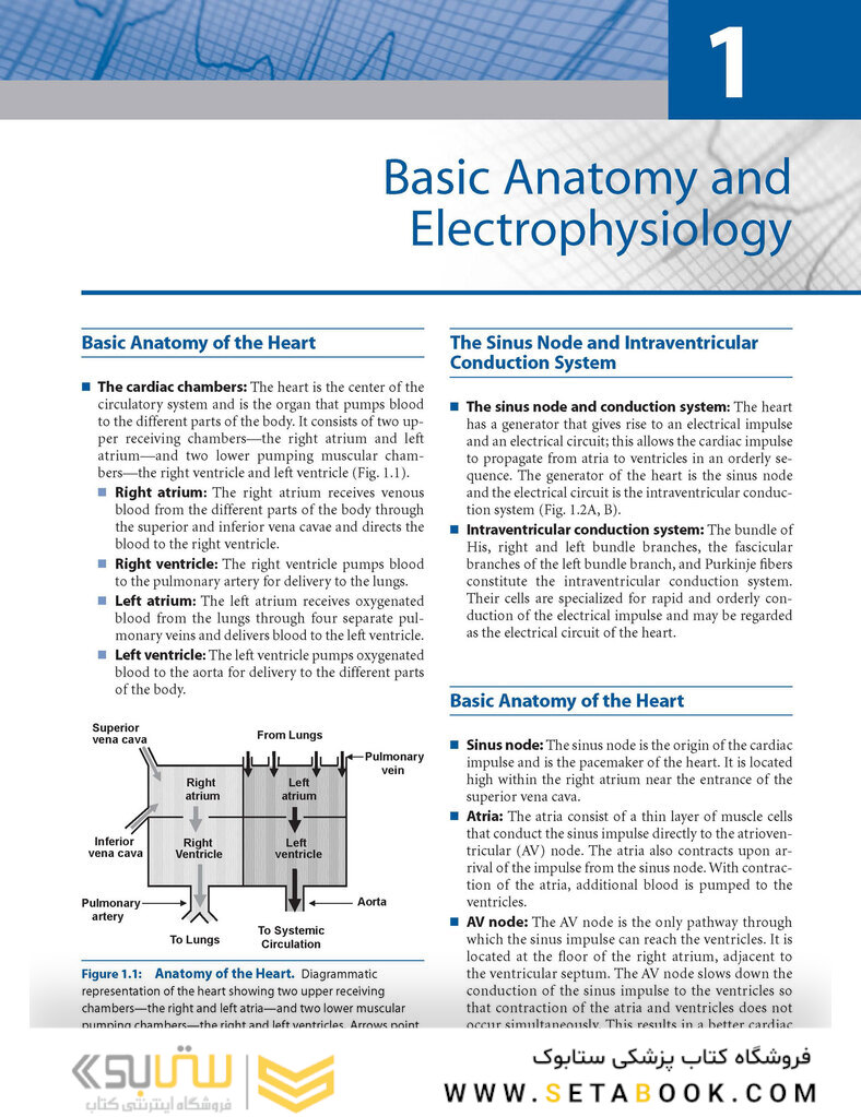 Basic and Bedside Electrocardiography 1st Edicion 2009