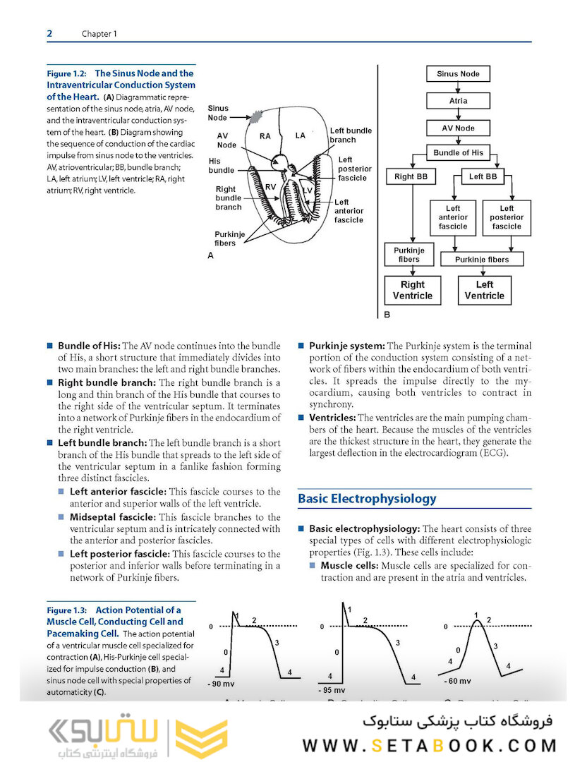 Basic and Bedside Electrocardiography 1st Edicion 2009