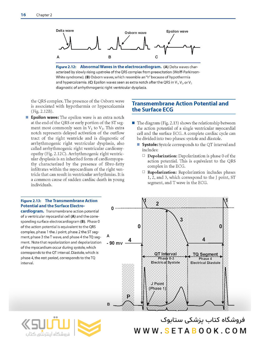 Basic and Bedside Electrocardiography 1st Edicion 2009