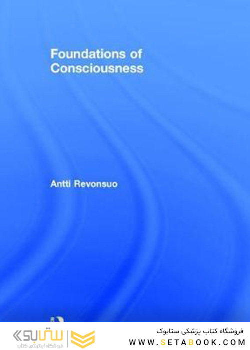 Foundations of Consciousness