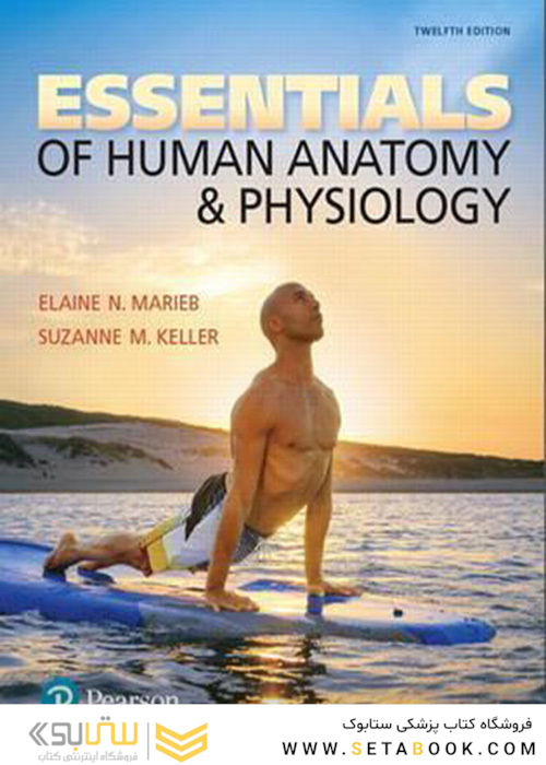 Essentials of Human Anatomy - Physiology