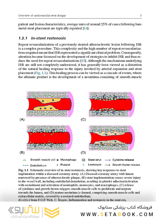 Functionalised Cardiovascular Stents
