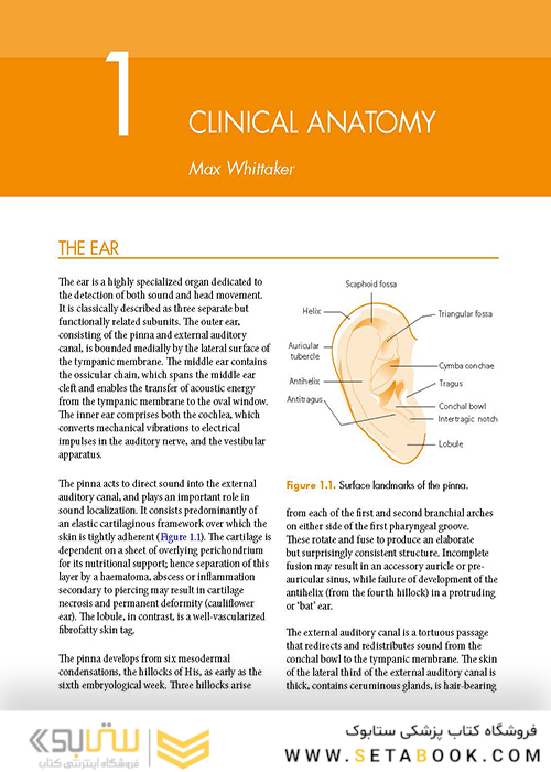 ENT: An Introduction and Practical Guide