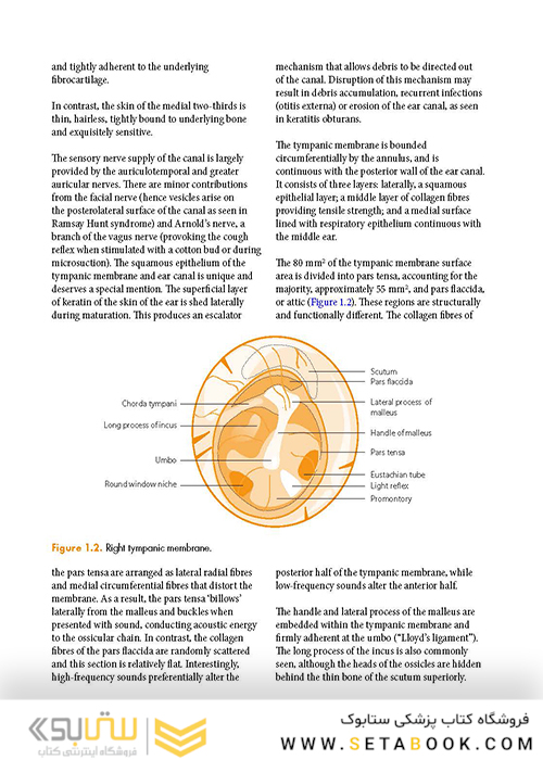ENT: An Introduction and Practical Guide