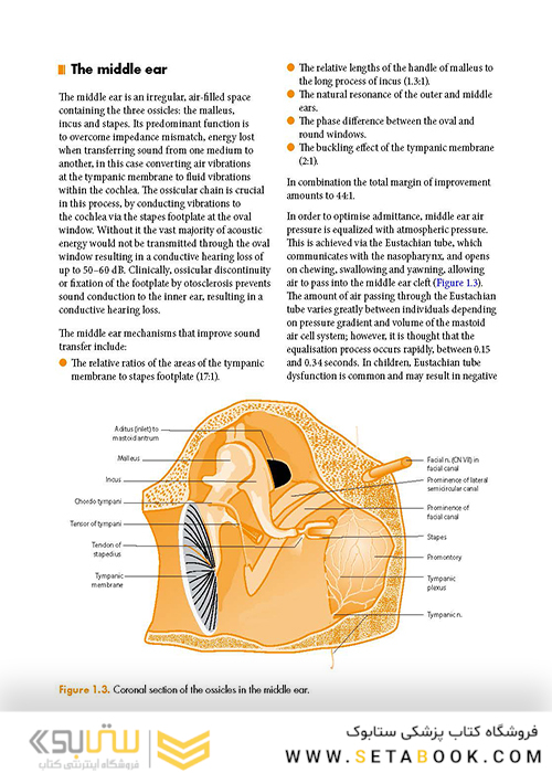 ENT: An Introduction and Practical Guide