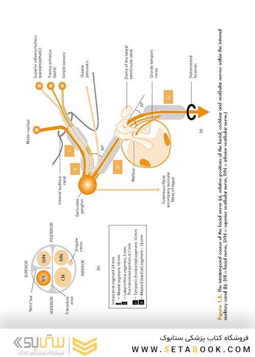 ENT: An Introduction and Practical Guide