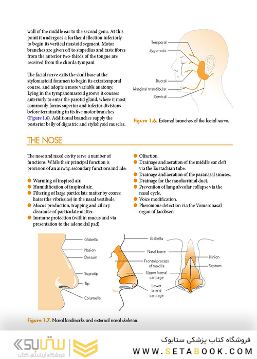 ENT: An Introduction and Practical Guide