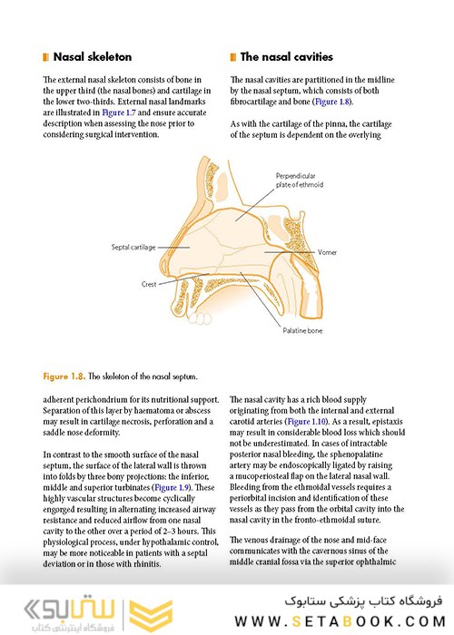 ENT: An Introduction and Practical Guide