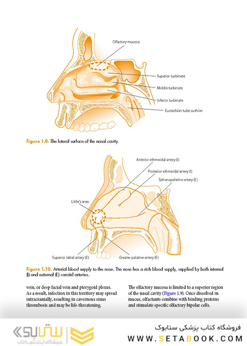 ENT: An Introduction and Practical Guide