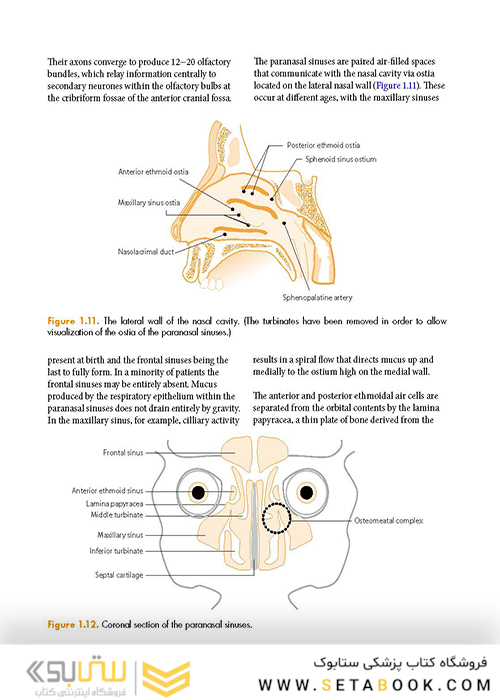 ENT: An Introduction and Practical Guide