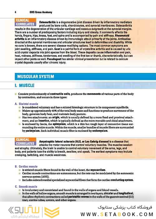 BRS Gross Anatomy (Board Review Series) Ninth, North American Edition آناتومی گری 2019 BRS