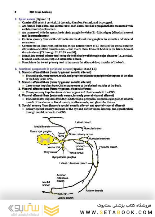 BRS Gross Anatomy (Board Review Series) Ninth, North American Edition آناتومی گری 2019 BRS