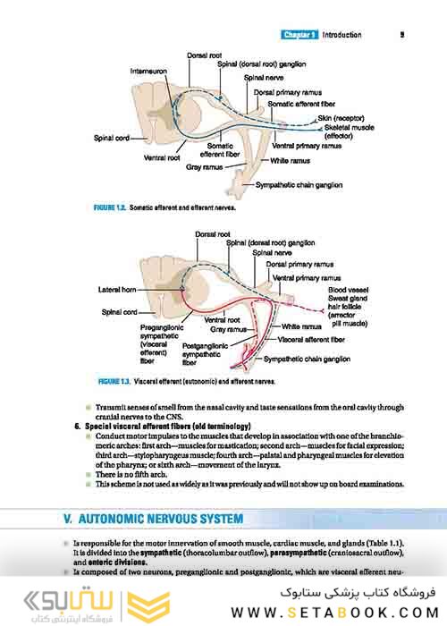 BRS Gross Anatomy (Board Review Series) Ninth, North American Edition آناتومی گری 2019 BRS