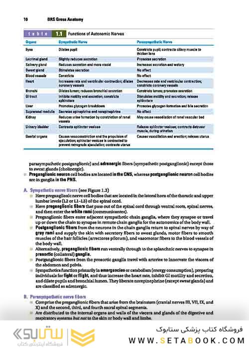 BRS Gross Anatomy (Board Review Series) Ninth, North American Edition آناتومی گری 2019 BRS