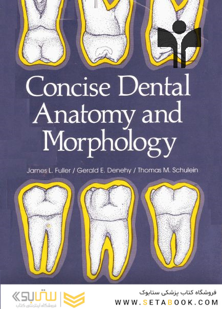 Concise Dental Anatomy and Morphology