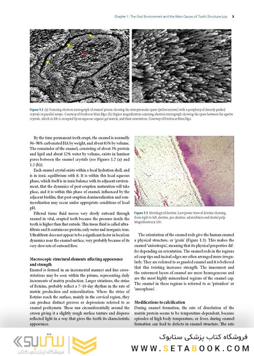 Preservation and Restoration of Tooth Structure 2016 حفظ و ترمیم ساختار دندان
