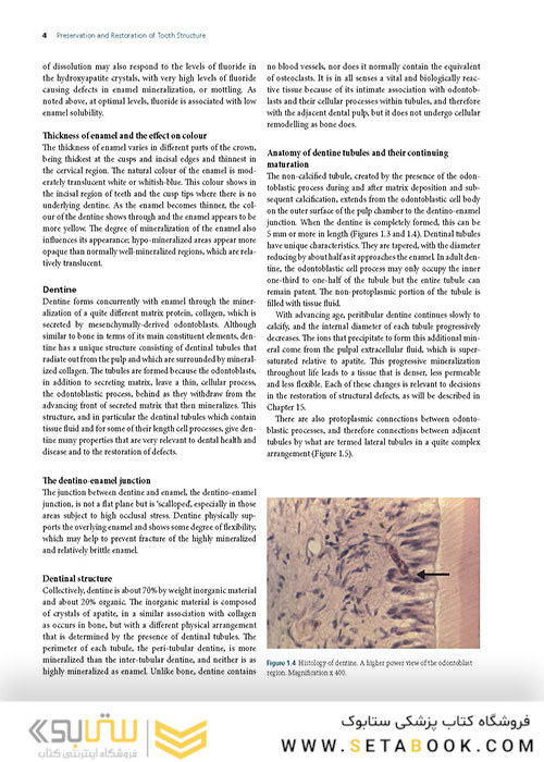 Preservation and Restoration of Tooth Structure 2016 حفظ و ترمیم ساختار دندان