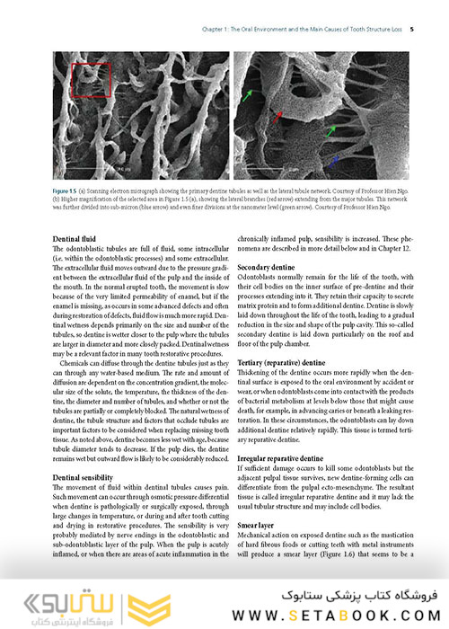Preservation and Restoration of Tooth Structure 2016 حفظ و ترمیم ساختار دندان