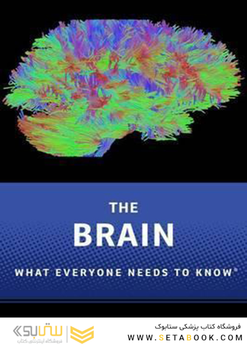 The Brain : What Everyone Needs To Know (R)