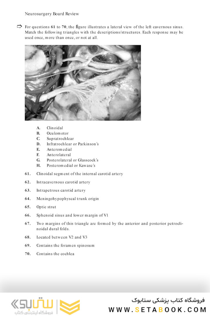 Neurosurgery Board Review : Questions and Answers for Self-Assessment