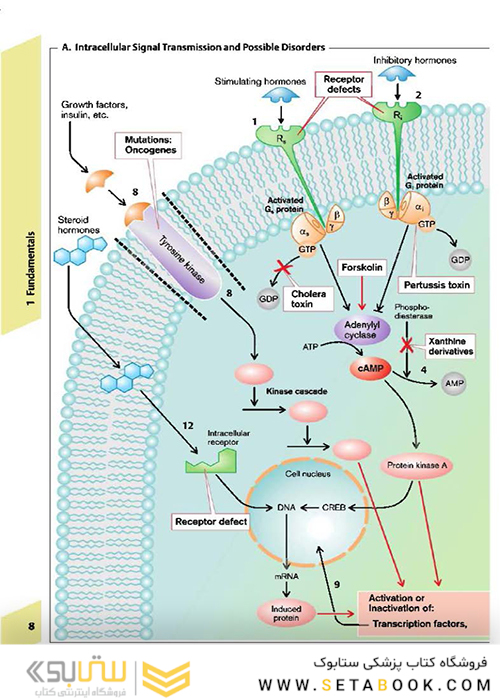 Color Atlas of Pathophysiology