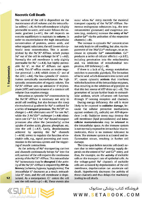 Color Atlas of Pathophysiology