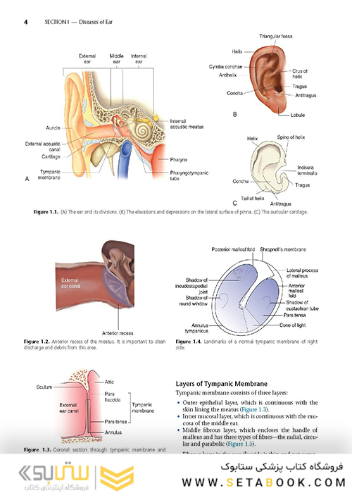 Diseases of Ear, Nose and Throat