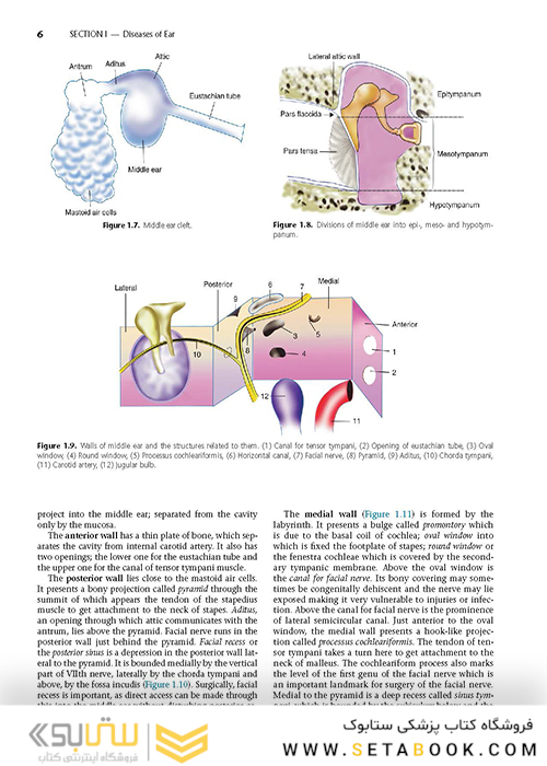 Diseases of Ear, Nose and Throat