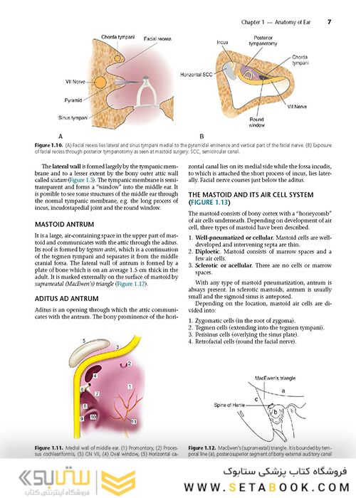 Diseases of Ear, Nose and Throat