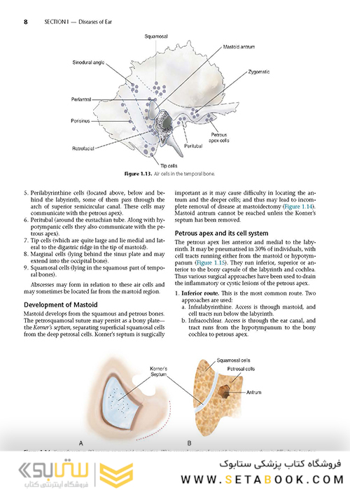 Diseases of Ear, Nose and Throat