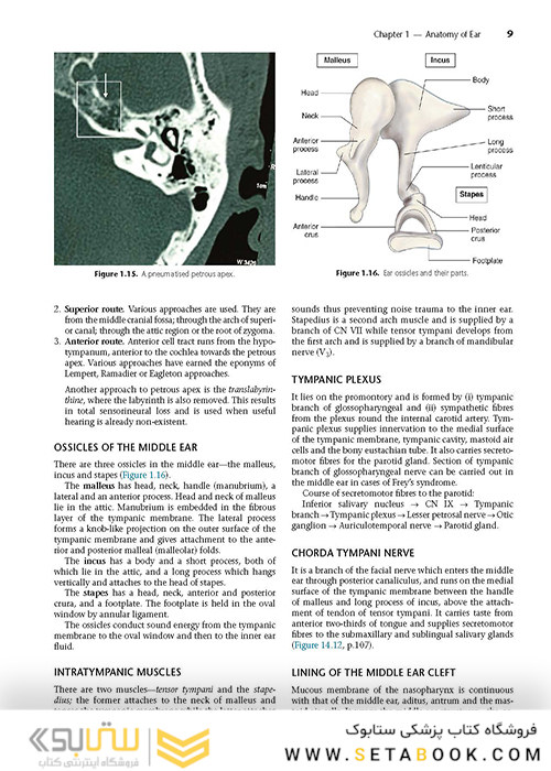 Diseases of Ear, Nose and Throat