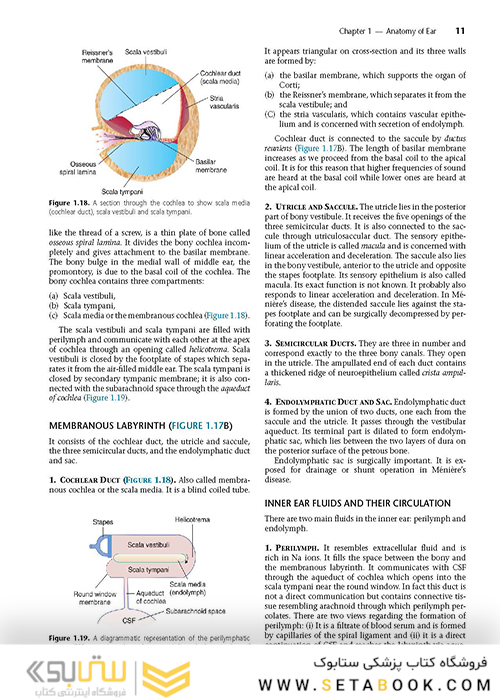 Diseases of Ear, Nose and Throat