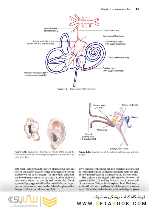 Diseases of Ear, Nose and Throat