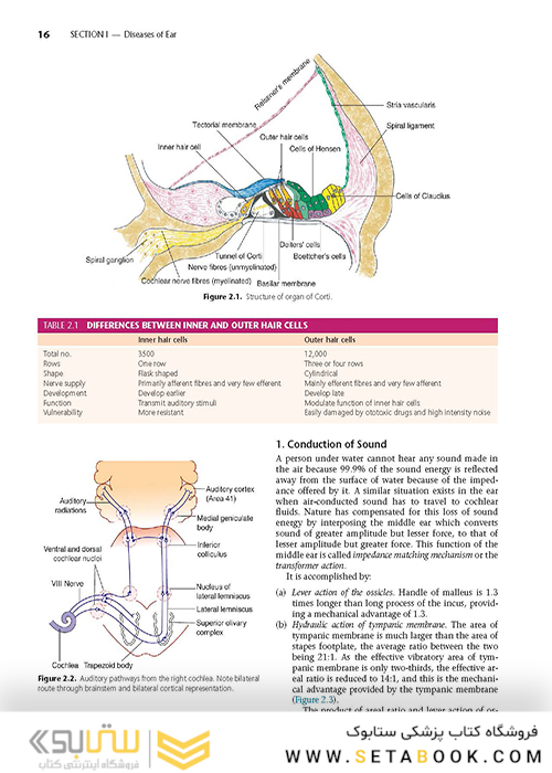 Diseases of Ear, Nose and Throat
