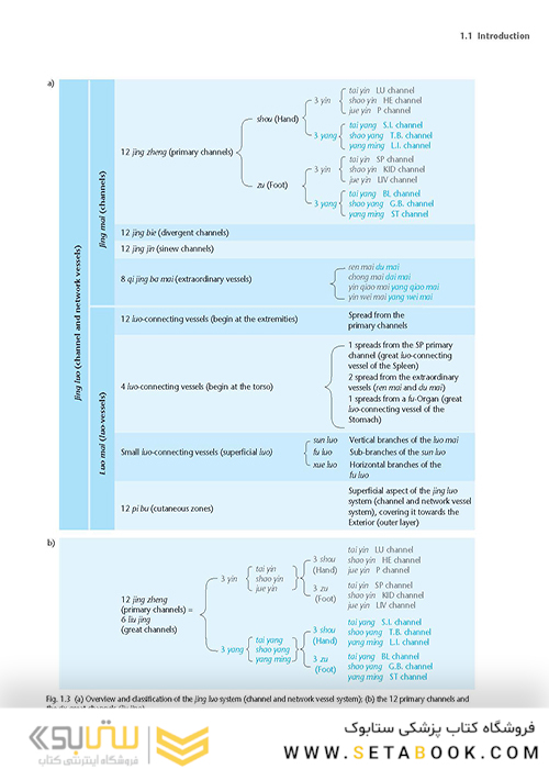 اطلس طب سوزنی Atlas of Acupuncture