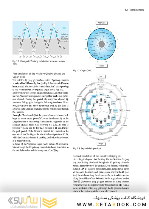 اطلس طب سوزنی Atlas of Acupuncture