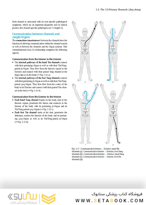 اطلس طب سوزنی Atlas of Acupuncture