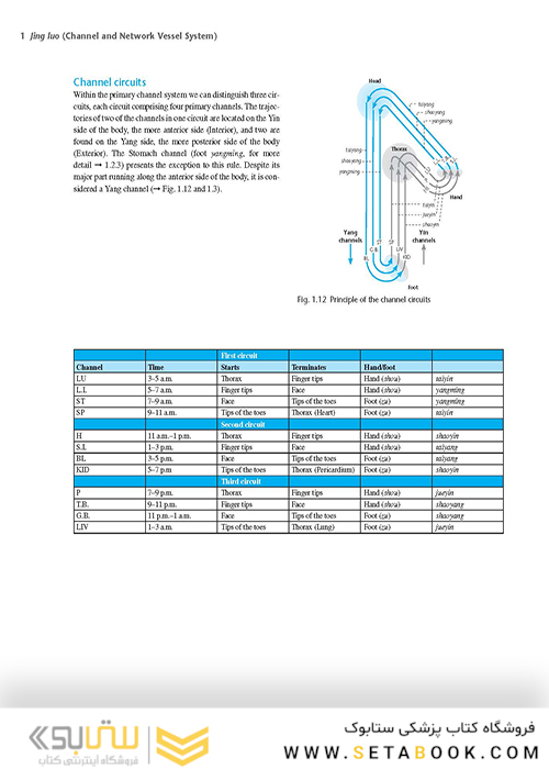 اطلس طب سوزنی Atlas of Acupuncture