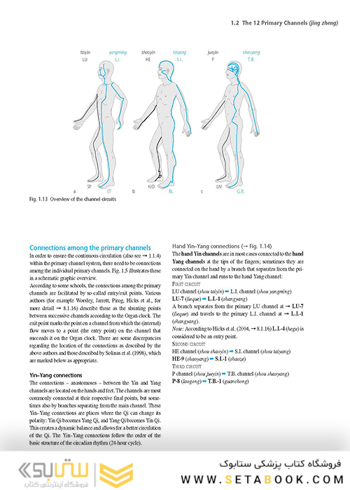 اطلس طب سوزنی Atlas of Acupuncture