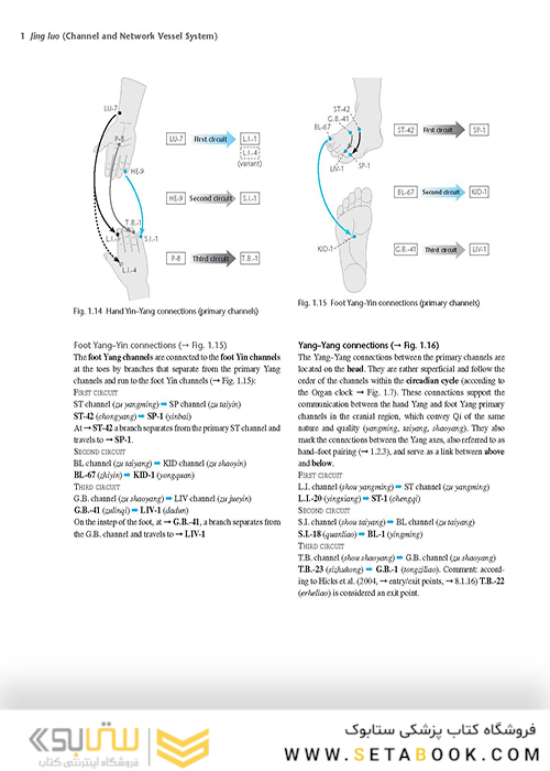 اطلس طب سوزنی Atlas of Acupuncture
