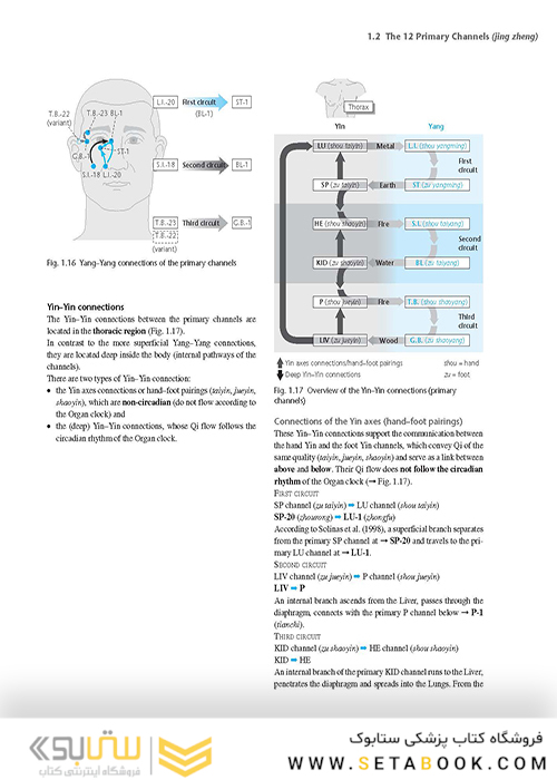 اطلس طب سوزنی Atlas of Acupuncture