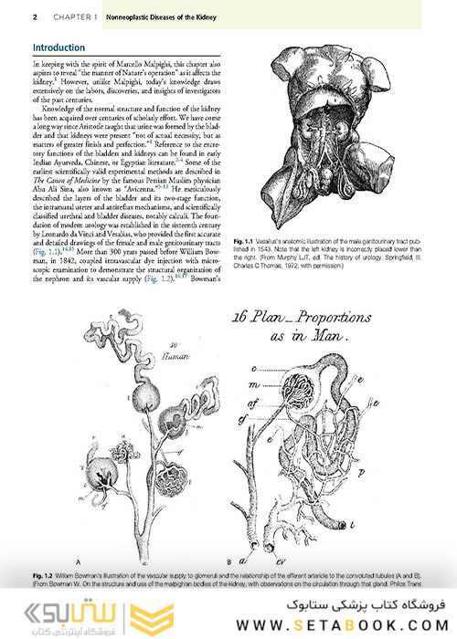  آسیب شناسی جراحی ارولوژیک نسخه 4 Urologic Surgical Pathology 2020