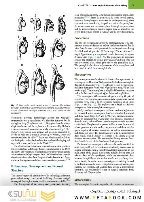  آسیب شناسی جراحی ارولوژیک نسخه 4 Urologic Surgical Pathology 2020