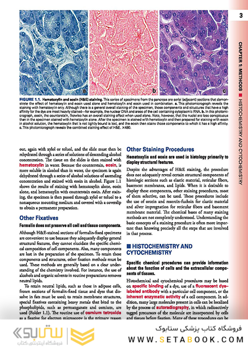 Histology: A Text and Atlas: With Correlated Cell and Molecular Biology 2020