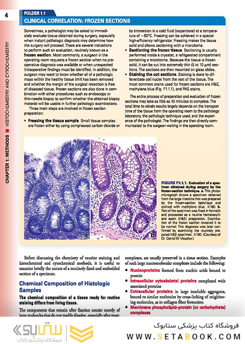 Histology: A Text and Atlas: With Correlated Cell and Molecular Biology 2020