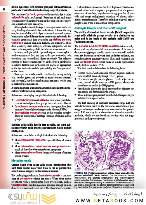 Histology: A Text and Atlas: With Correlated Cell and Molecular Biology 2020