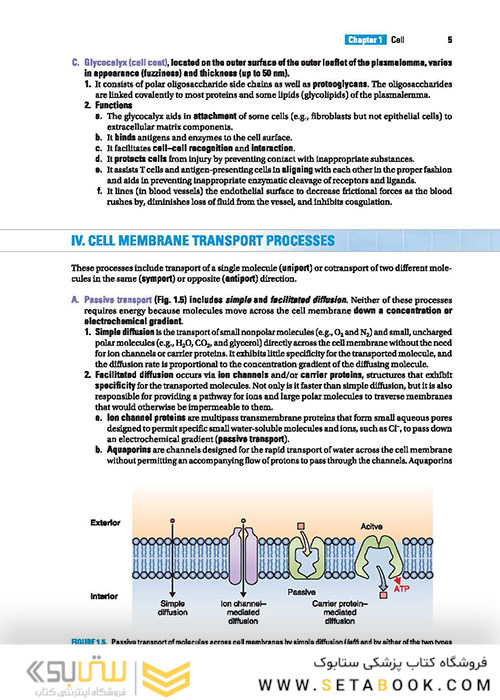 BRS Cell Biology and Histology (Board Review Series) Eighth Edition2019 کتاب زیست شناسی سلولی و بافت شناسی سلولی BRS 