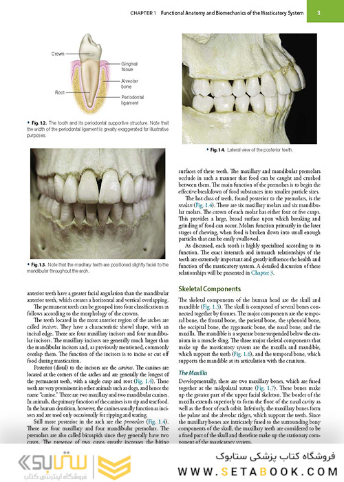 Management of Temporomandibular Disorders and Occlusion 2020